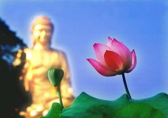 今生的夫妻,前世是你什麼人?看過的都哭了!