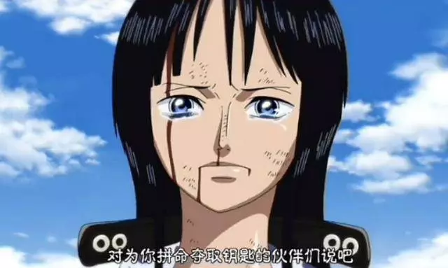 細數海賊王里那些為了夢想而犧牲自己的美女,經歷了太多痛苦!