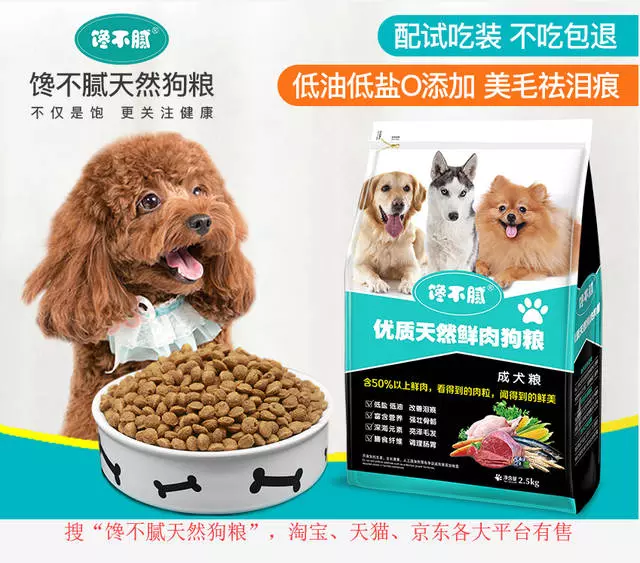 若你家貴賓犬處於7-15歲,請做好以下6件事,別讓自己遺憾一生!