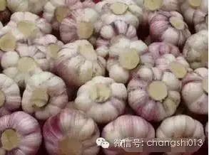 超神自從我用過這招一周後,蟑螂螞蟻蚊子已不住我家能100%見效又不殺生快學
