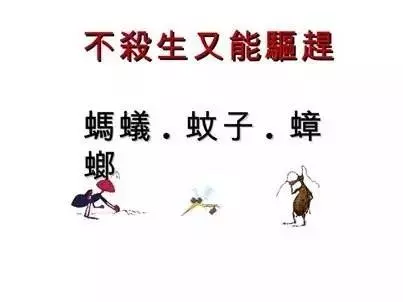 超神自從我用過這招一周後,蟑螂螞蟻蚊子已不住我家能100%見效又不殺生快學