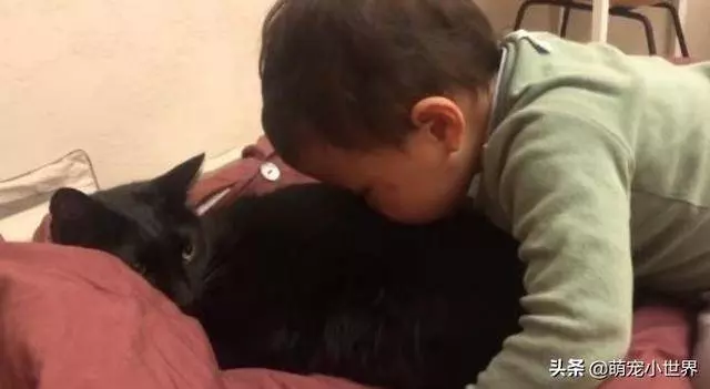 2歲孩子埋頭狂聞黑貓味,吸完還露出滿足表情傻笑把家人笑壞