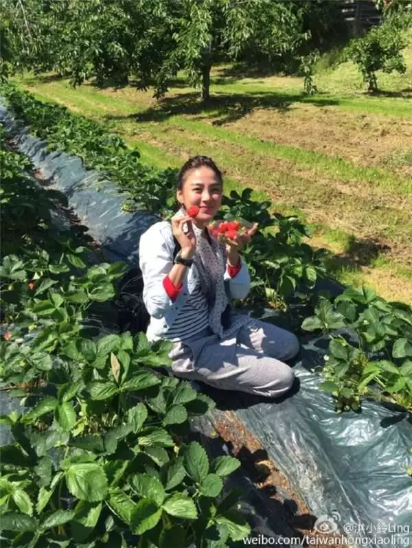 小時候你一定看過她!被封「史上最惡毒女人」,拋棄林志穎搶劉濤男人!如今40歲過這樣生活!