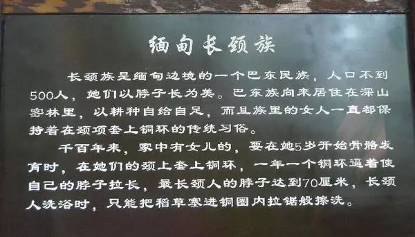 實拍泰國「長頸族」女人:銅環一生只能摘下三次,取下後情景讓人落淚!