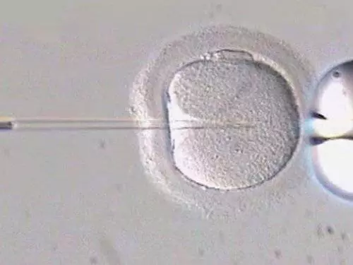 新加坡男子為帶雙胞胎兒子回國惹官司,結果發現自己不是生父!