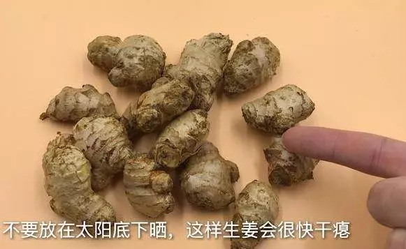 原來保存生薑這麼簡單,教你一個訣竅,不幹不壞,放上一年都新鮮...