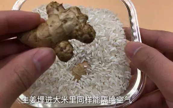 原來保存生薑這麼簡單,教你一個訣竅,不幹不壞,放上一年都新鮮...