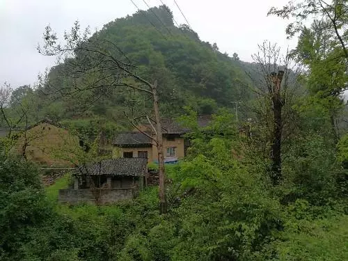 我趴在父親的墳頭,對他說:爸,我考了569分,我可以上大學了