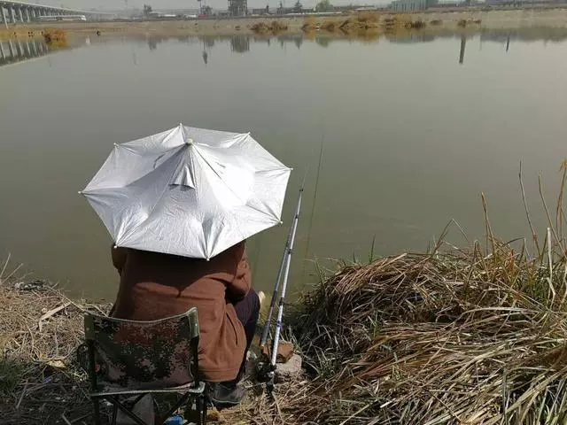 面對妻子致命的傷害,我仍無法放下她,親友都罵我有病