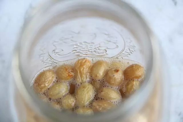 別再用酵母了,教你自製天然酵母,包子又白又胖,大廚不說的秘密