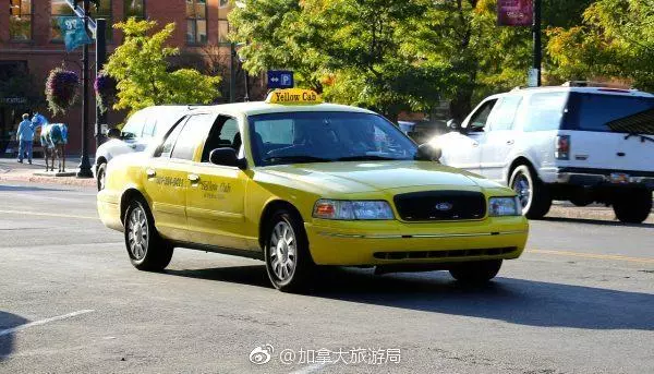 加拿大包車、租車存隱患 中使館提醒注意4點