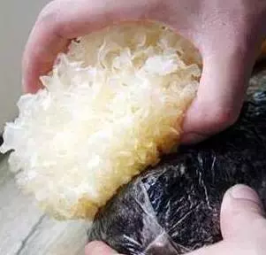 銀耳怎麼煮,才容易出膠?很多人把「第一步」做錯了,難怪不好吃