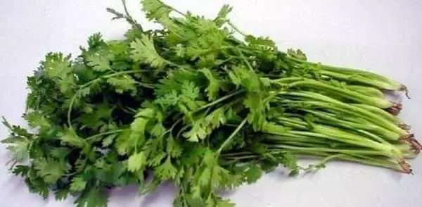 夫妻堅持吃這種水煮菜一個月,腎部居然年輕了20歲!男女老少都需要~