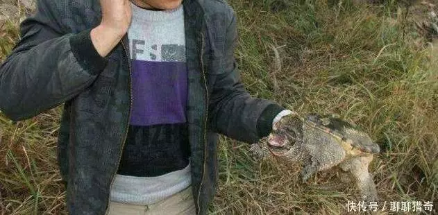小伙河邊釣上「佛龜」,要放生時被老人攔住,原來真實身份不一般 !