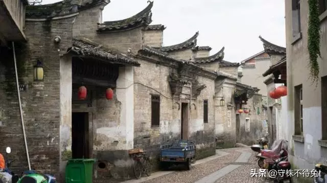 10個冷知識:人類的生命和常見的動物相比,處於什麼水平