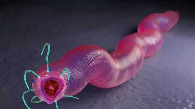 他們回來了!42,000年後,俄美科學家復活了遠古蠕蟲