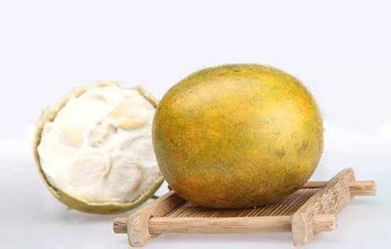 羅漢果泡水喝的功效和禁忌 羅漢果泡水要去殼嗎 羅漢果怎麼泡水喝
