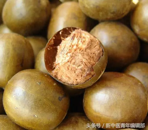 羅漢果泡水喝的功效和禁忌 羅漢果泡水要去殼嗎 羅漢果怎麼泡水喝