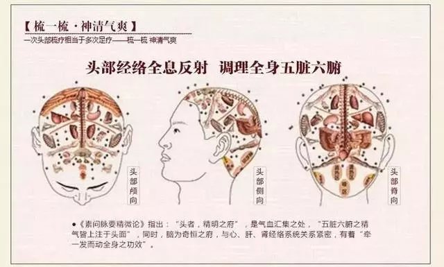 春天養生,從「頭」開始