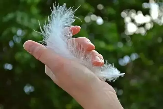 做人:閉嘴,閉嘴,閉嘴!看完,一生有益 !