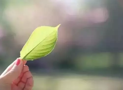 做人:閉嘴,閉嘴,閉嘴!看完,一生有益 !