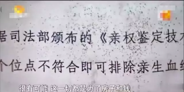 面對親子鑑定結果,女子仍咬定兒子是丈夫的,說出隱情後真相大白