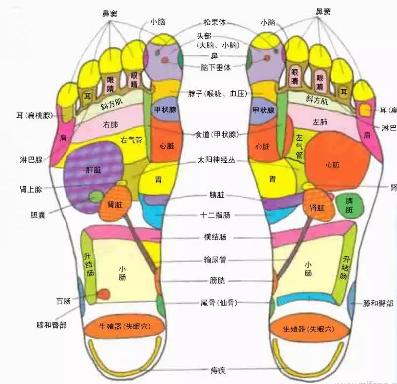 這種腳相的人最好命,一生福氣滿滿!快看看你是嗎?