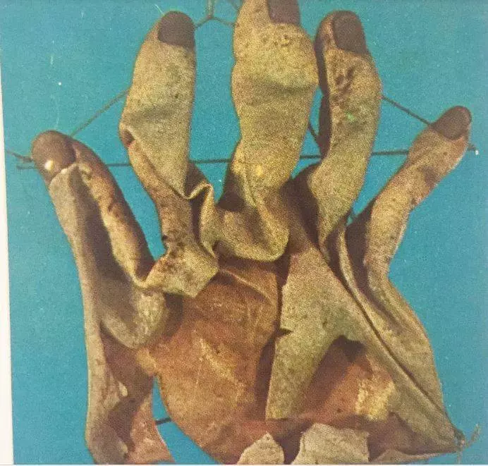 12個超恐怖工作經驗！心臟最大顆的人才能承受的~~