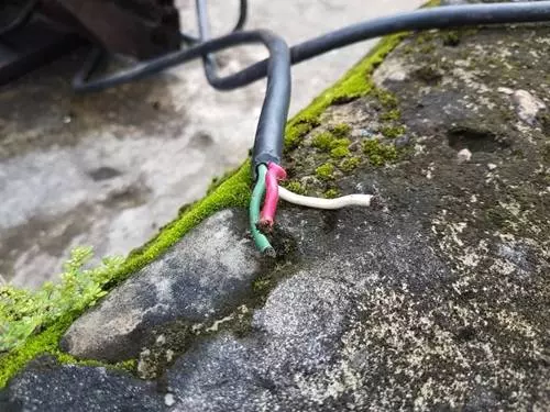 看到孩子觸電 偉大媽媽推開兒子自己觸電身亡