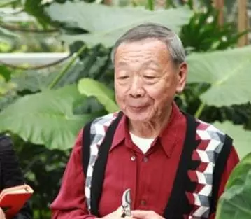爸媽往生後,伯父養了我15年,出嫁那天我笑著把他送進了監獄!