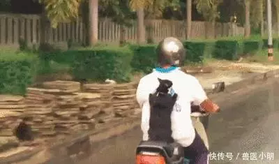 遠遠發現個騎摩托的小伙,身上的背包很特別,追上一看豎起大拇指 !