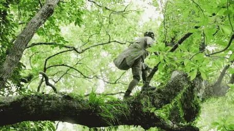 國中畢業神人「捨命」從事全台灣最危險的工作「植物獵人」,植物學家佩服:我們都做不到