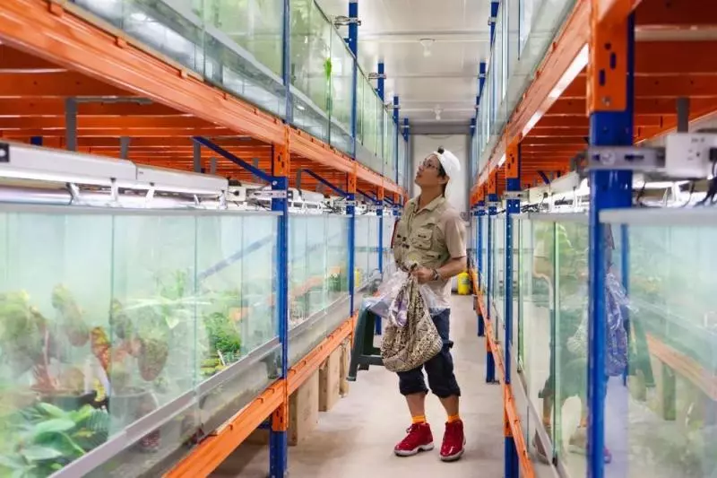 國中畢業神人「捨命」從事全台灣最危險的工作「植物獵人」,植物學家佩服:我們都做不到