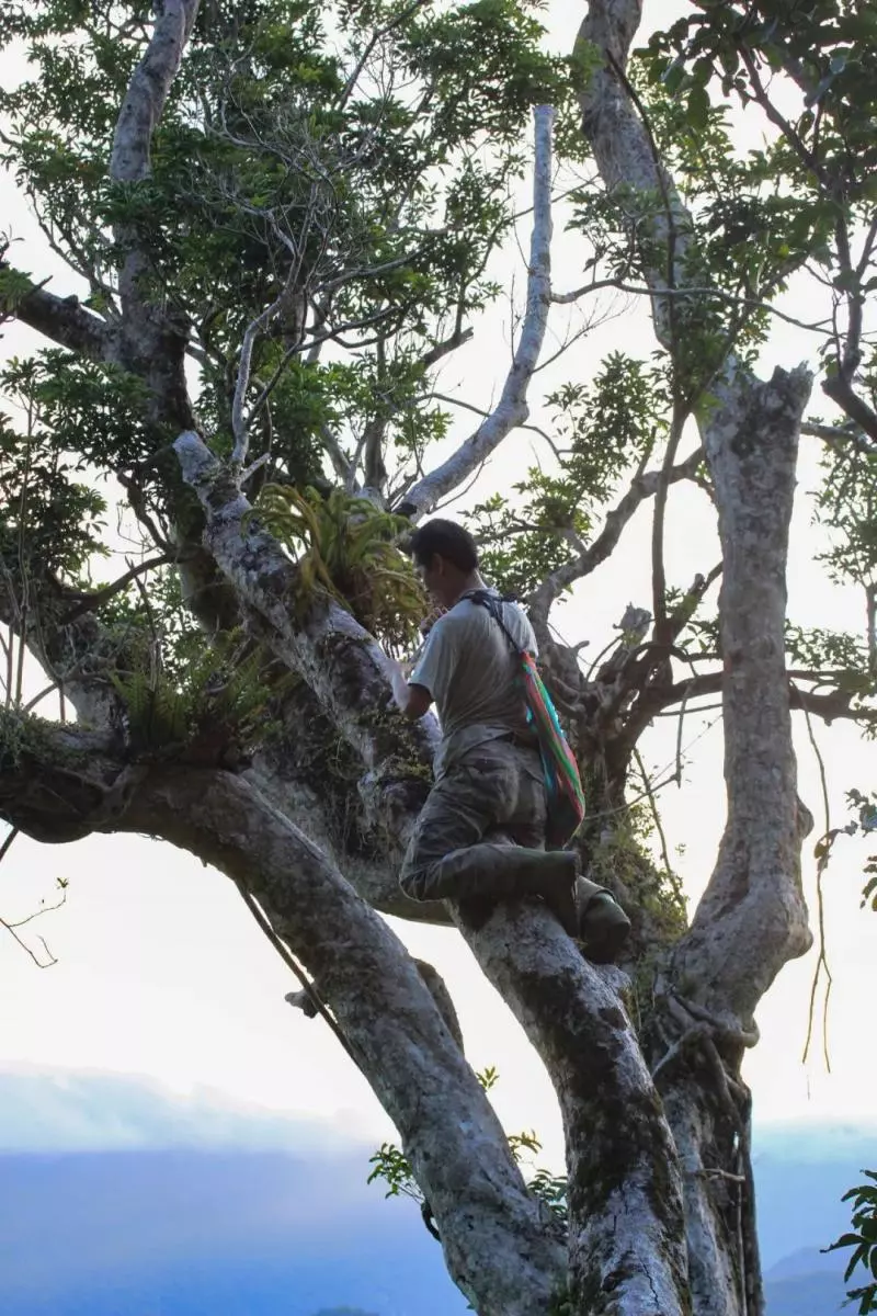 國中畢業神人「捨命」從事全台灣最危險的工作「植物獵人」,植物學家佩服:我們都做不到