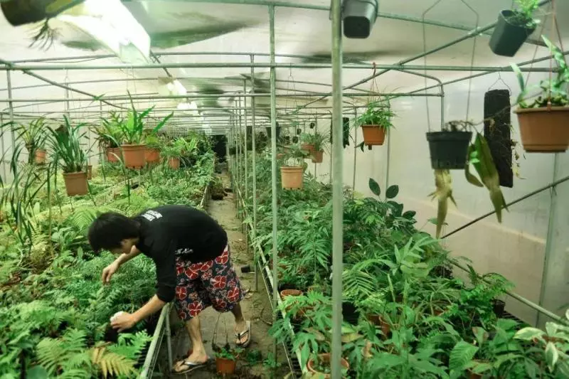 國中畢業神人「捨命」從事全台灣最危險的工作「植物獵人」,植物學家佩服:我們都做不到