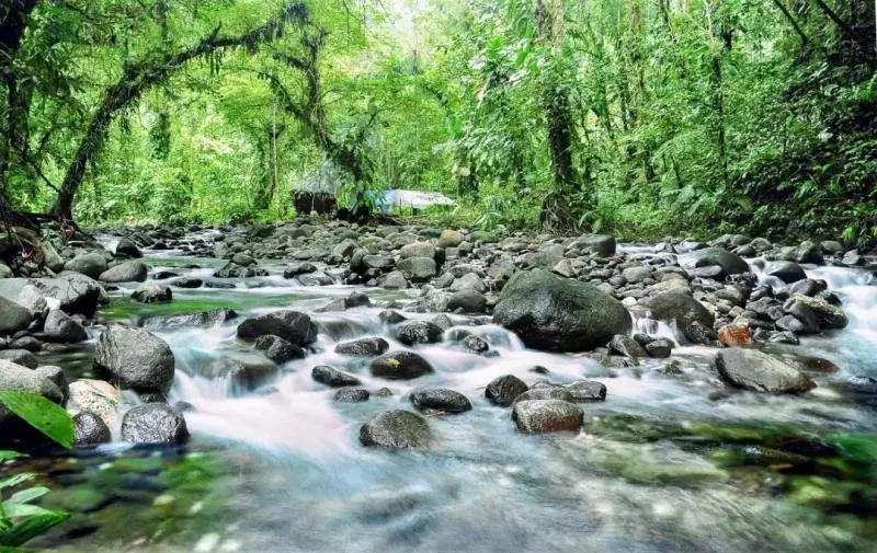國中畢業神人「捨命」從事全台灣最危險的工作「植物獵人」,植物學家佩服:我們都做不到