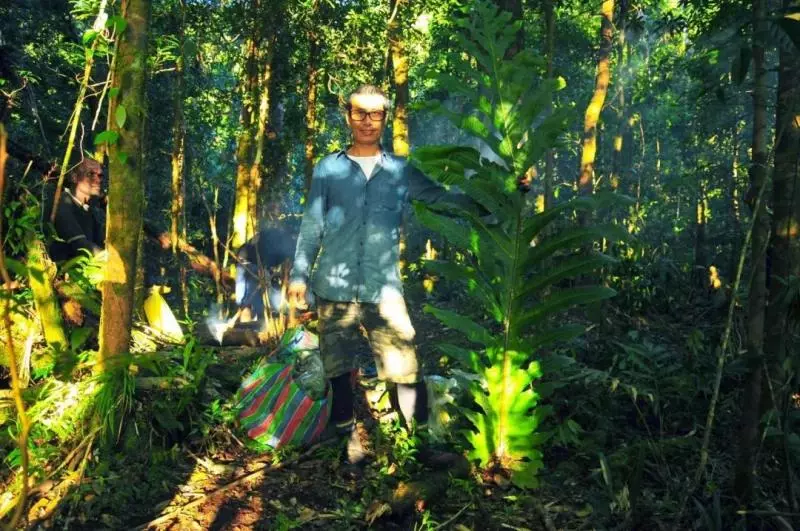 國中畢業神人「捨命」從事全台灣最危險的工作「植物獵人」,植物學家佩服:我們都做不到