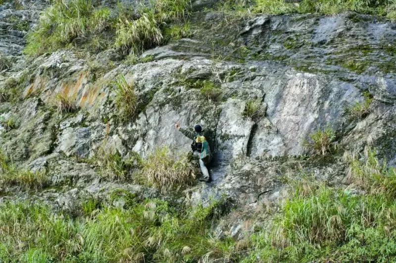 國中畢業神人「捨命」從事全台灣最危險的工作「植物獵人」,植物學家佩服:我們都做不到