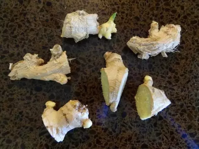 生薑這樣種,以後不用花錢買生薑了!超簡單!