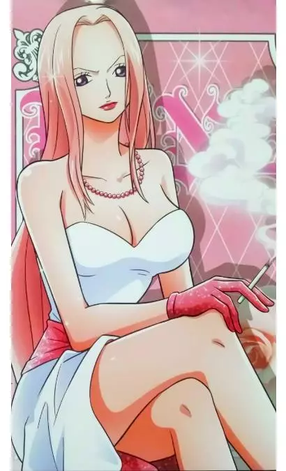 海賊王作者尾田稱自己不擅長美女,那這些美女是誰畫的?