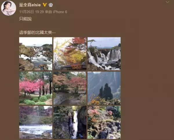 18歲走紅被金城武追求不屑一顧,48歲淒慘單身沒人娶!為餬口竟累到差點失明!