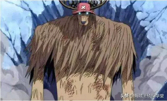 海賊王:被世界政府忽略的6大高手,戰鬥力爆表!第2太像李小龍