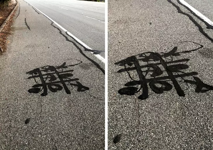 越來越不懂這個世界了… 29張「頭頂冒出許多問號」的奇妙發現照