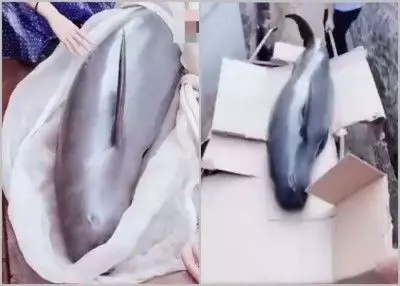 最終由2名好心青年合作買下之後放生 !