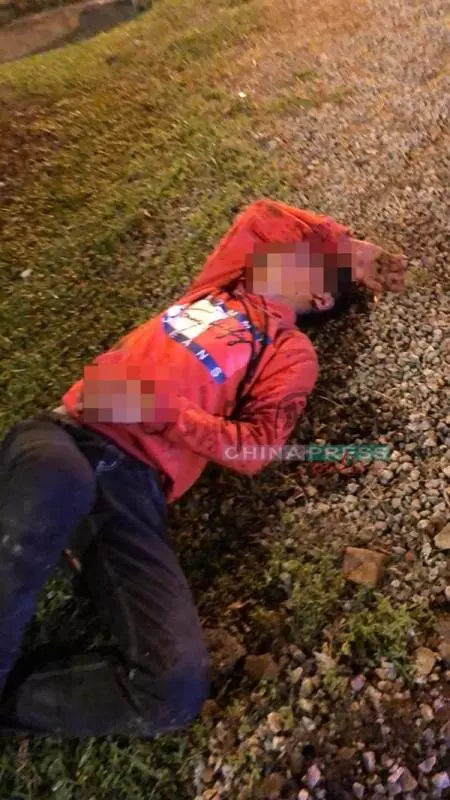 閃避流浪狗!閃避轎車! 傷者說法不一樣