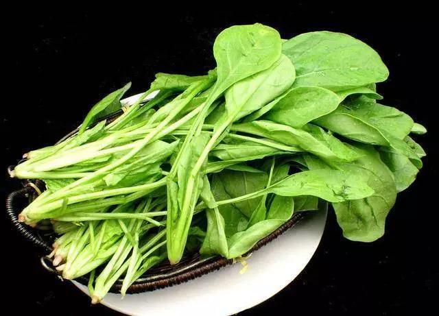眼睛模糊看不清,每天吃點這3種食物,眼睛明亮視力上升。。