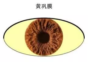 當你的眼睛出現這5大症狀,快去查查自己的肝臟吧!