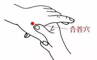 「能大開通」的神奇保健穴——四關