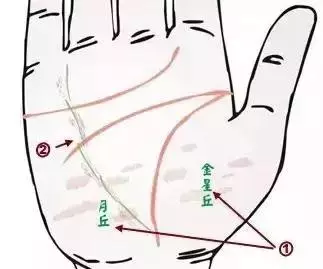 做自己的醫生:24種身心問題的手診圖解,收了吧!