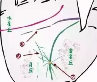 做自己的醫生:24種身心問題的手診圖解,收了吧!